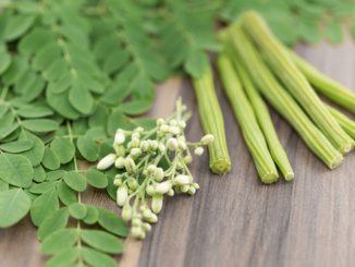 Moringa