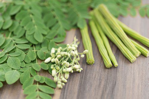 Moringa