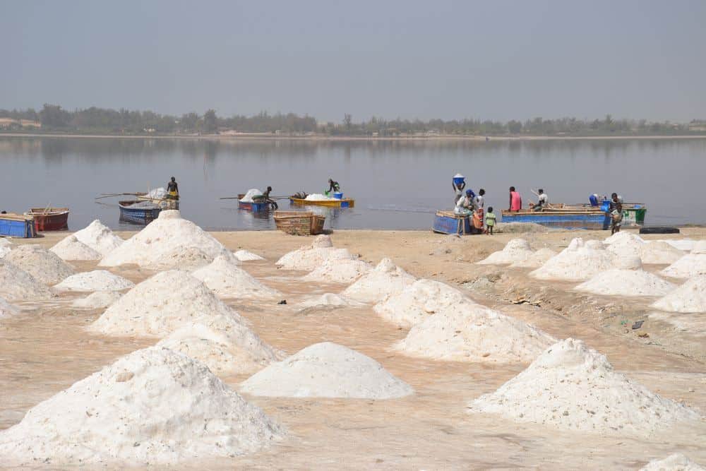 Senegal – rostlinky, bylinky a ostatní z cest 3