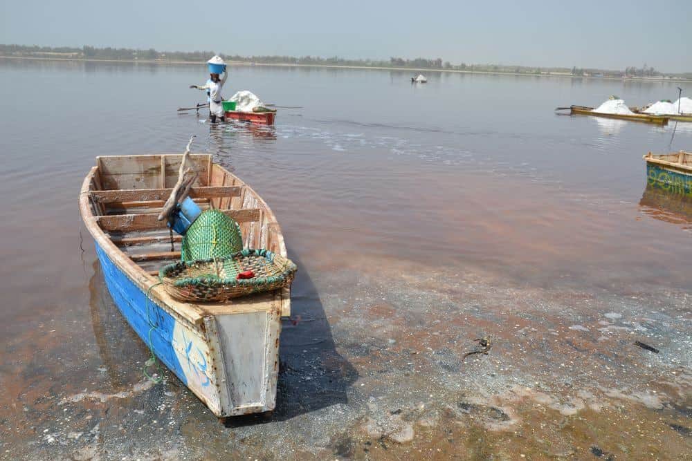 Senegal – rostlinky, bylinky a ostatní z cest 3