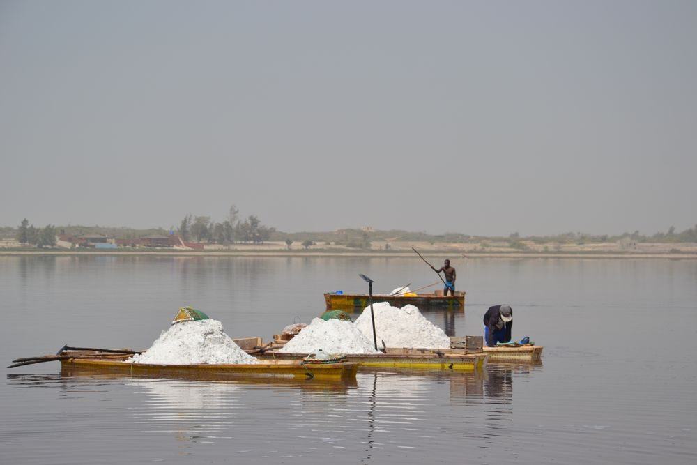 Senegal – rostlinky, bylinky a ostatní z cest 3