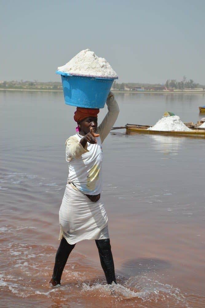 Senegal – rostlinky, bylinky a ostatní z cest 3