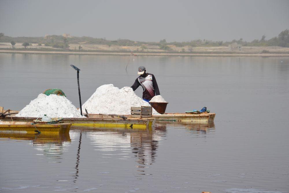 Senegal – rostlinky, bylinky a ostatní z cest 3