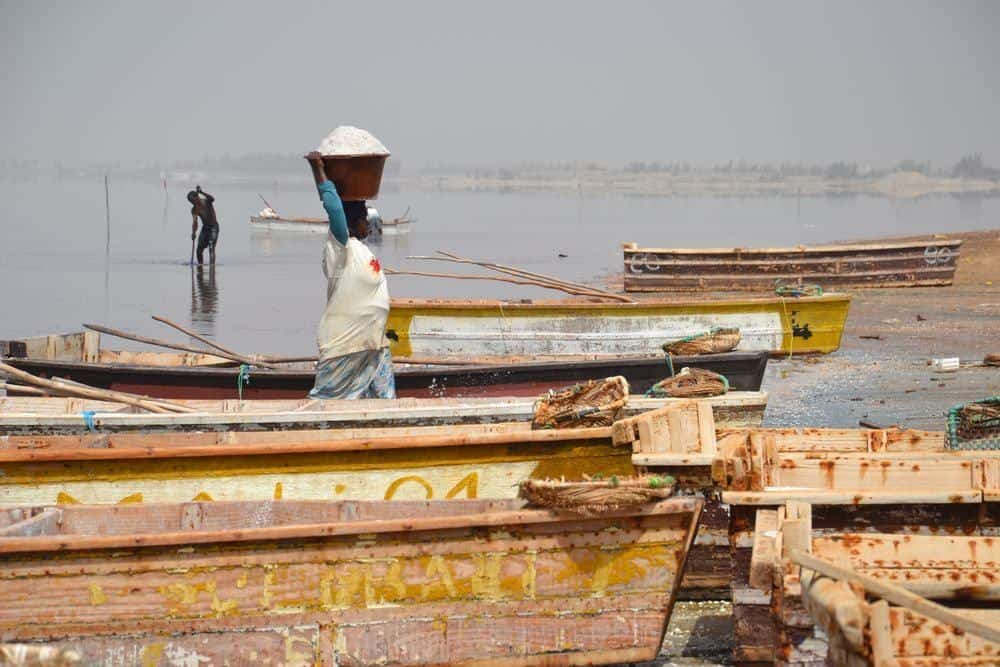 Senegal – rostlinky, bylinky a ostatní z cest 3