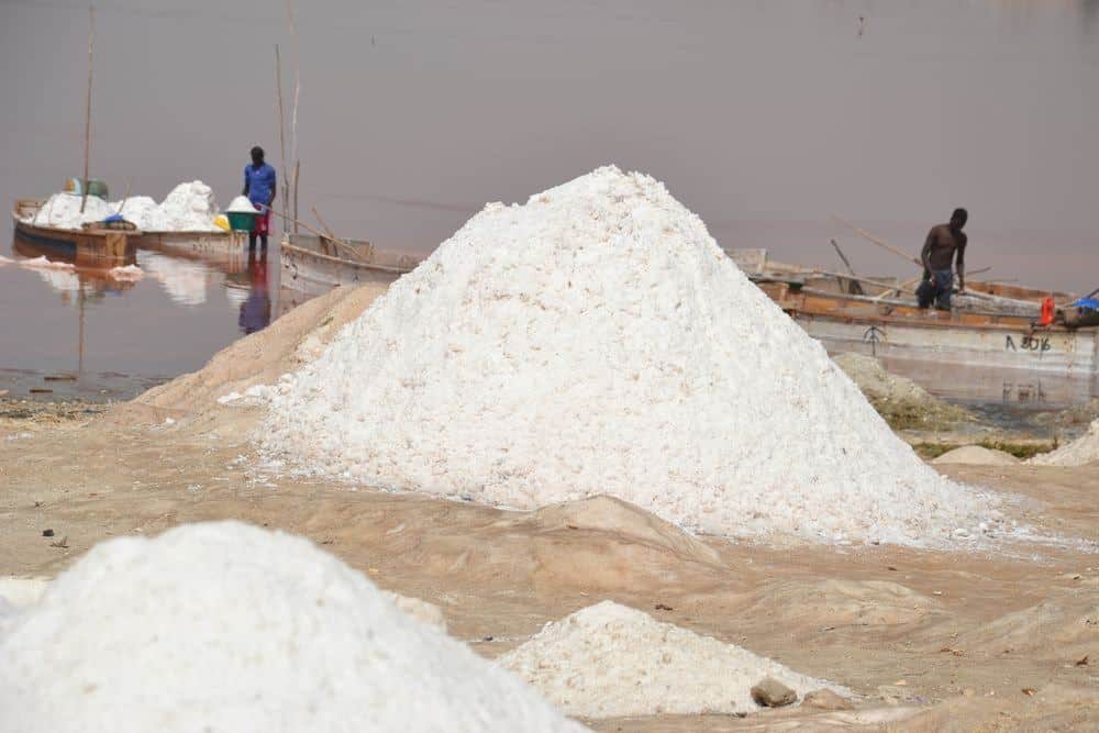 Senegal – rostlinky, bylinky a ostatní z cest 3