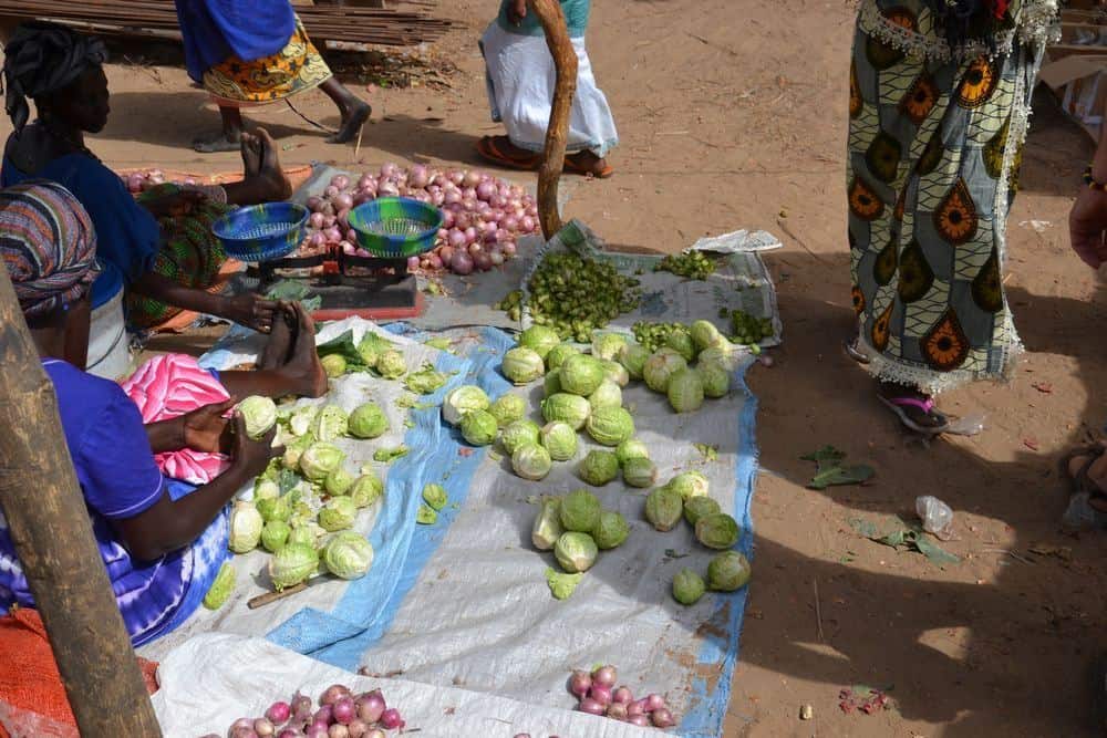 Trh v Senegalu