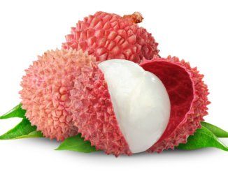 Litchi