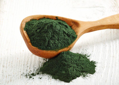 Spirulina jako potravinová bomba