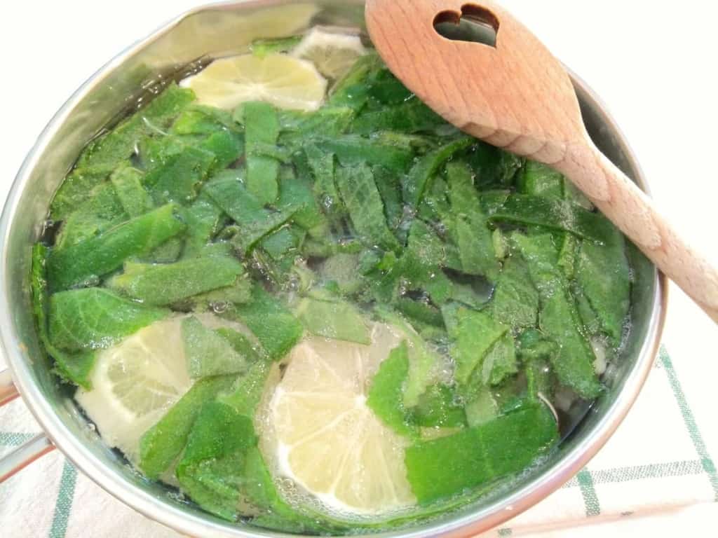 Rýmovníkový sirup (recept) - ideální na dochucení čaje