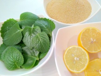 Rýmovníkový sirup (recept) - ideální na dochucení čaje