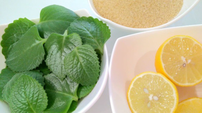 Rýmovníkový sirup (recept) - ideální na dochucení čaje