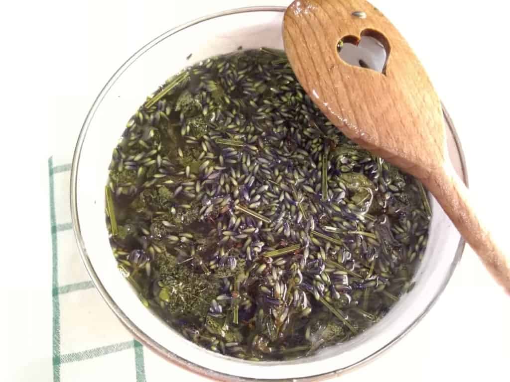 Kopřivová mast (recept) - využijte účinky kopřivy