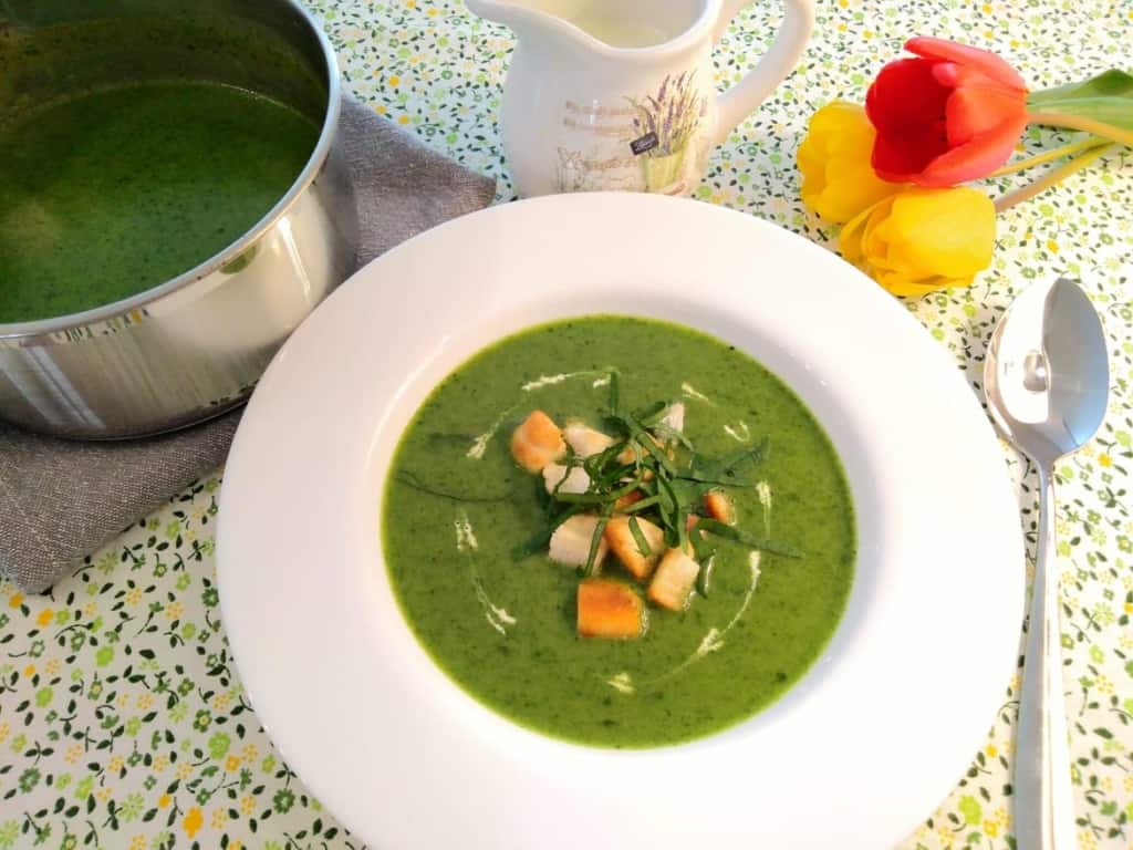 Polévka z medvědího česneku (recept) - skvělá vůně i chuť