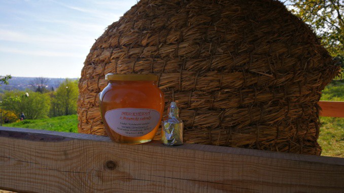 Propolis: produkt, který ochraňuje včelí úly i lidské zdraví