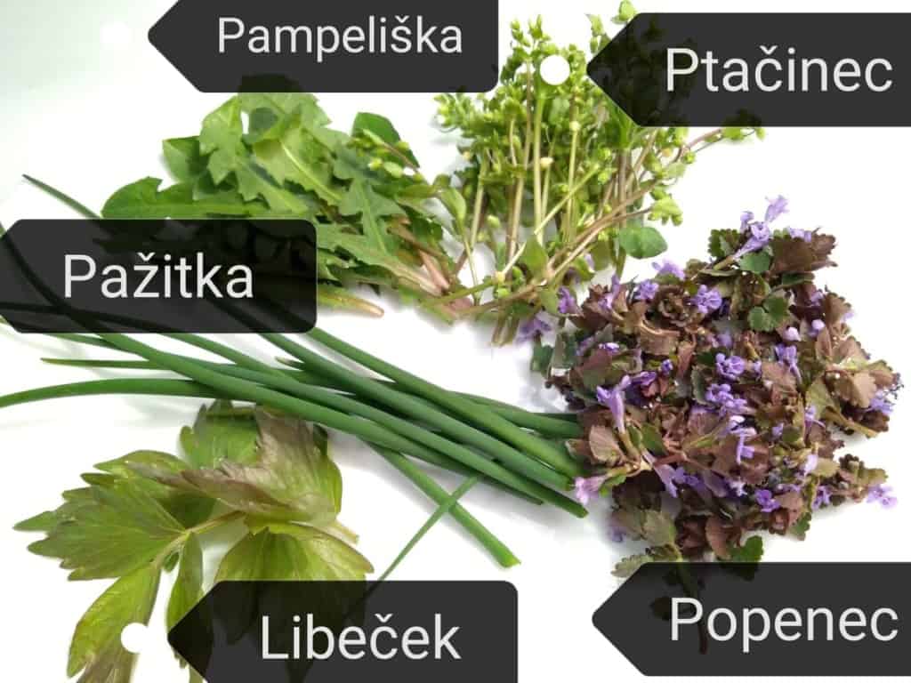 Bylinková pomazánka (recept) - načerpejte plno vitamínů