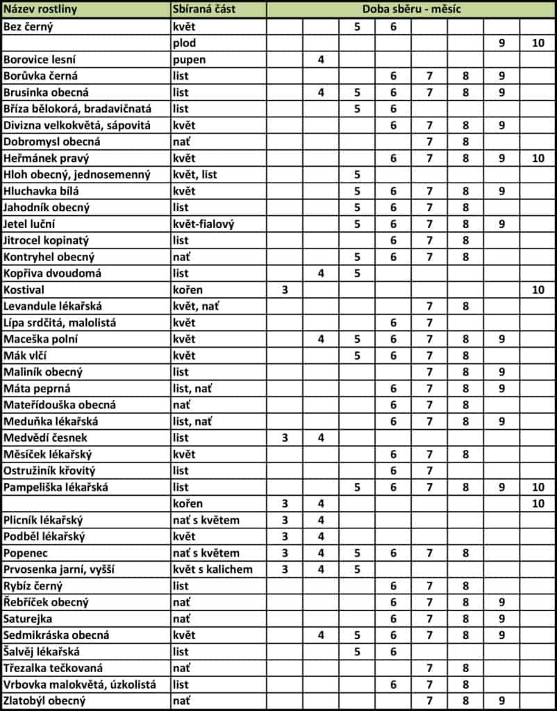 Kdy sbírat bylinky a léčivé rostliny?