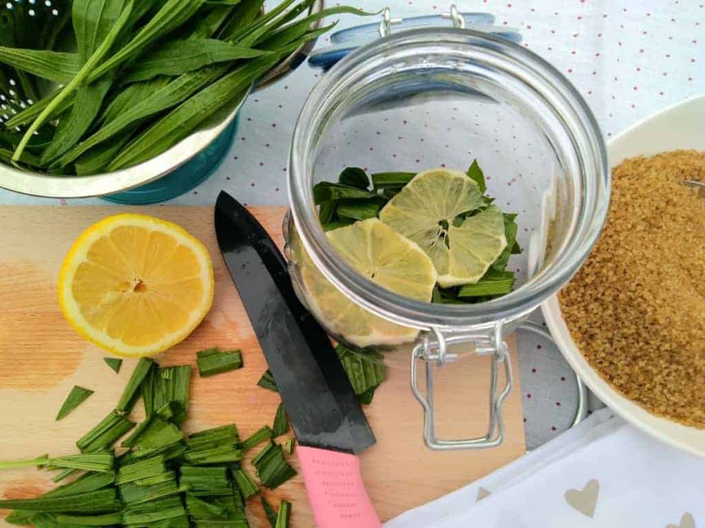 Jitrocelový sirup (recept) - účinný při silném zahlenění a kašli