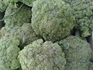Brokolice: zdravá zelenina, která by neměla chybět v žádném jídelníčku