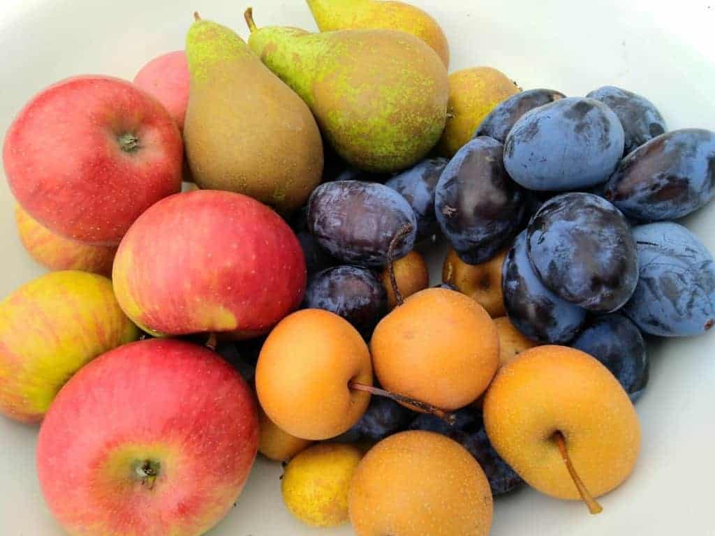 Domácí ovocný sirup (recept) - využijte přebytek ovoce