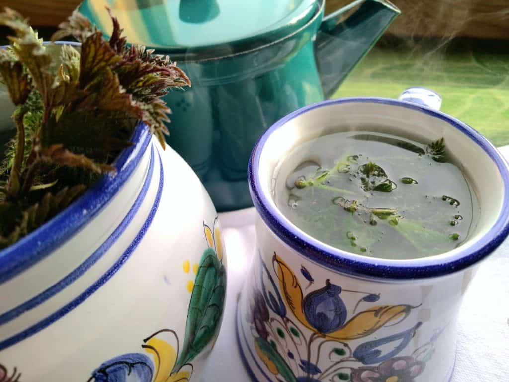 Čaj nebo šťáva z kopřivy (foto recept) - ideální jarní očistná kůra