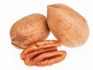 Ořechovec pekanový plodí zdravé pekanové ořechy. Obsahují mnoho zdravých tuků