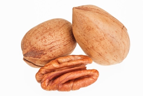 Ořechovec pekanový plodí zdravé pekanové ořechy