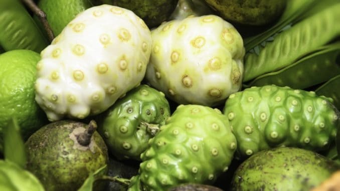 Morinda barvířská neboli noni: exotické ovoce s léčivými účinky