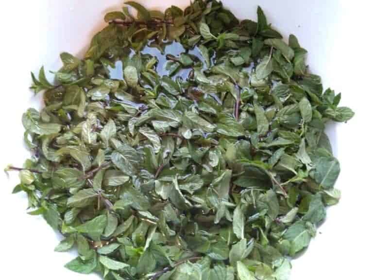 Domácí mátový sirup (foto recept) - Bylinkovo.cz