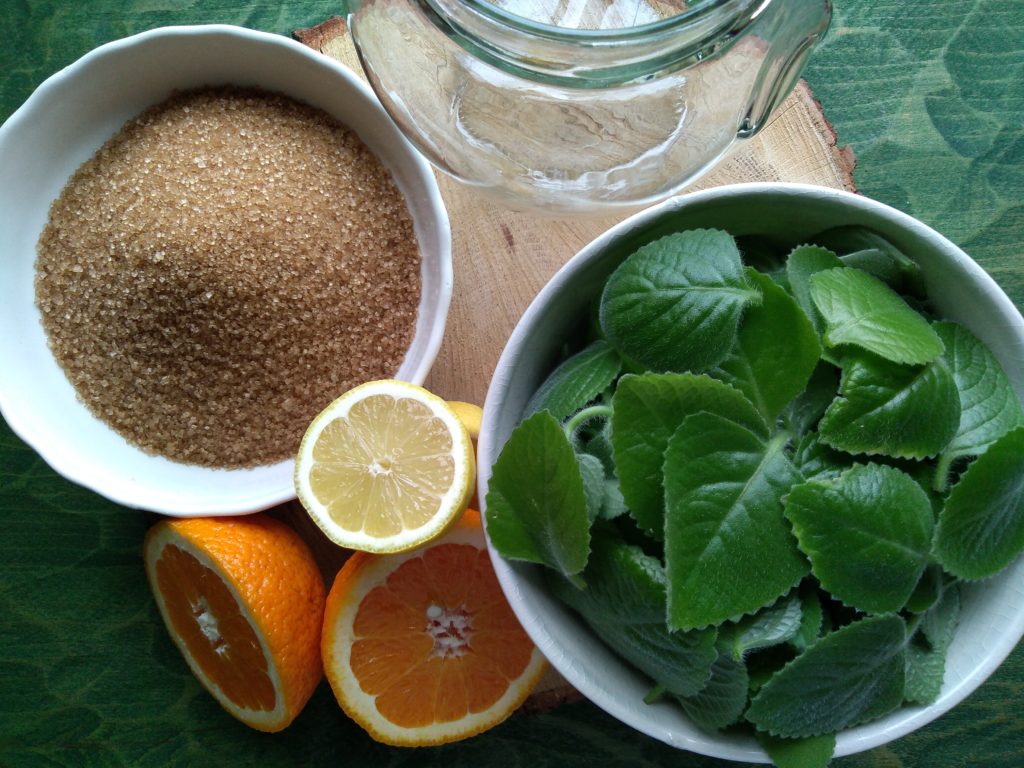 Sirup z rýmovníku za studena (recept)