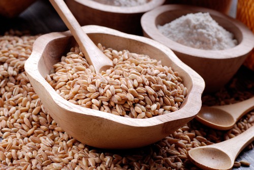 Špalda: pšenice, z níž si lze připravit zdravější vánoční cukroví