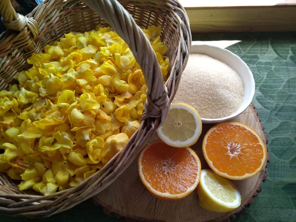 Diviznový sirup (recept) – účinkuje při kašli, rýmě či onemocnění průdušek