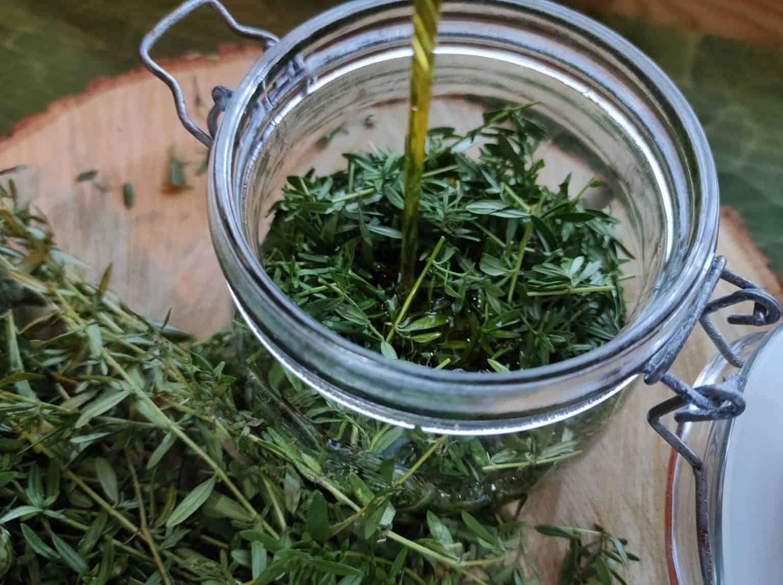 Tymiánový olej – účinky a recept na domácí výrobu