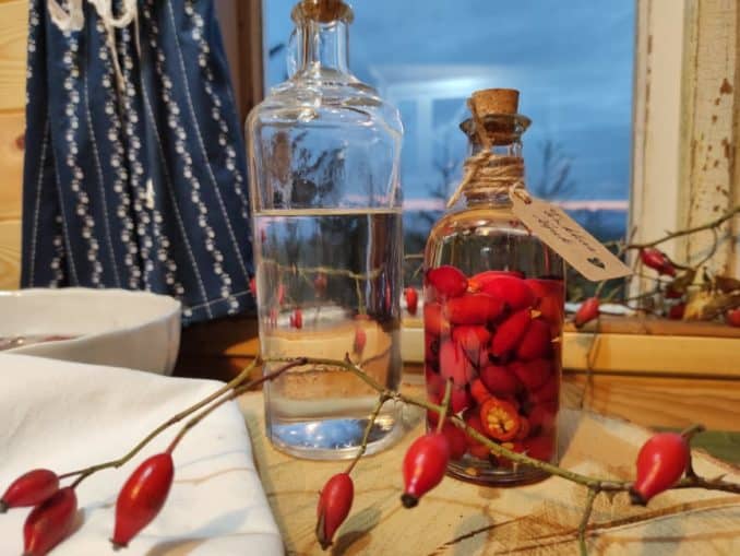 Šípkový sirup – účinky a recept na domácí výrobu