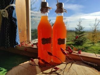 Šípkový sirup (recept): lahodný pomocník pro posílení imunity