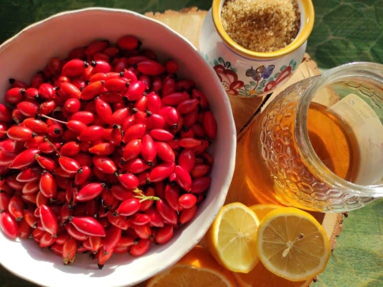 Šípkový sirup – účinky a recept na domácí výrobu