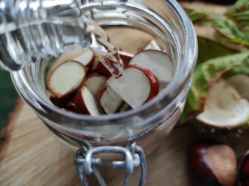 Kaštanové mazání (recept): pomáhá s křečovými žilami i artritidou