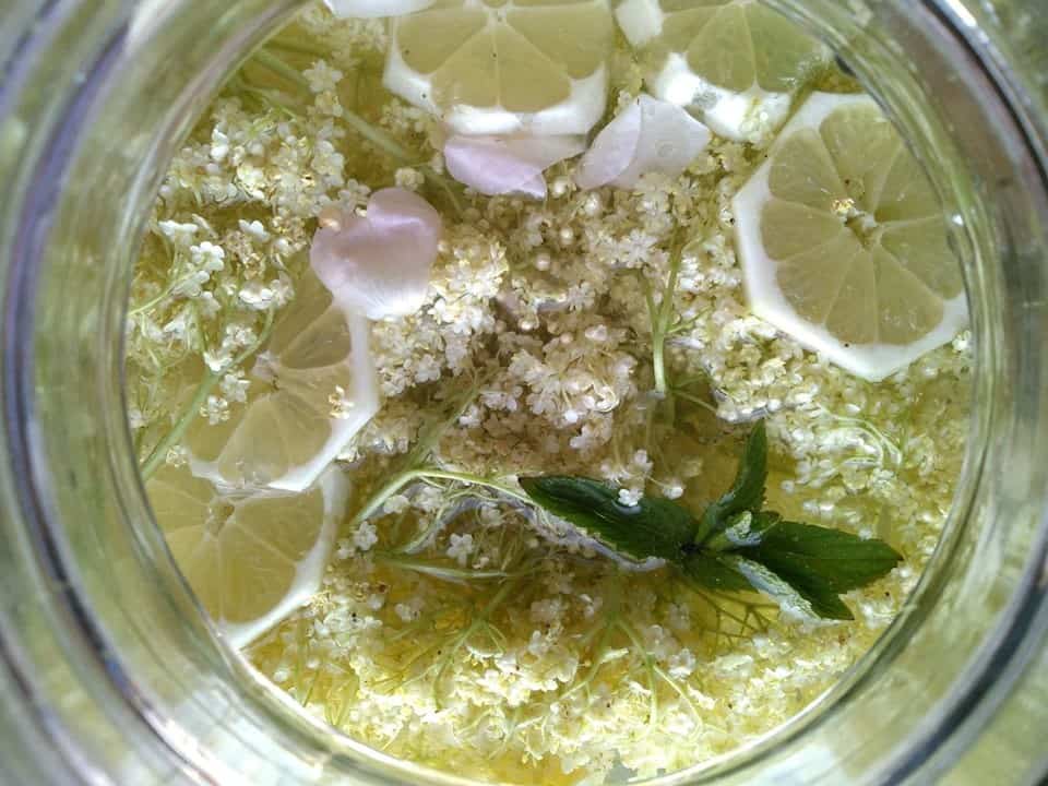 Bezinková limonáda (recept): chutné a zdravé letní osvěžení