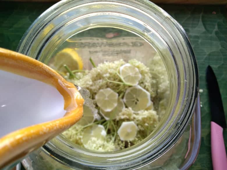 Bezinková limonáda (recept): chutné a zdravé letní osvěžení