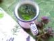 Čaj z plicníku lékařského (recept): účinný při plicních onemocněních