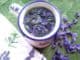 Čaj z violky vonné (recept): pomůže při dráždivém kašli