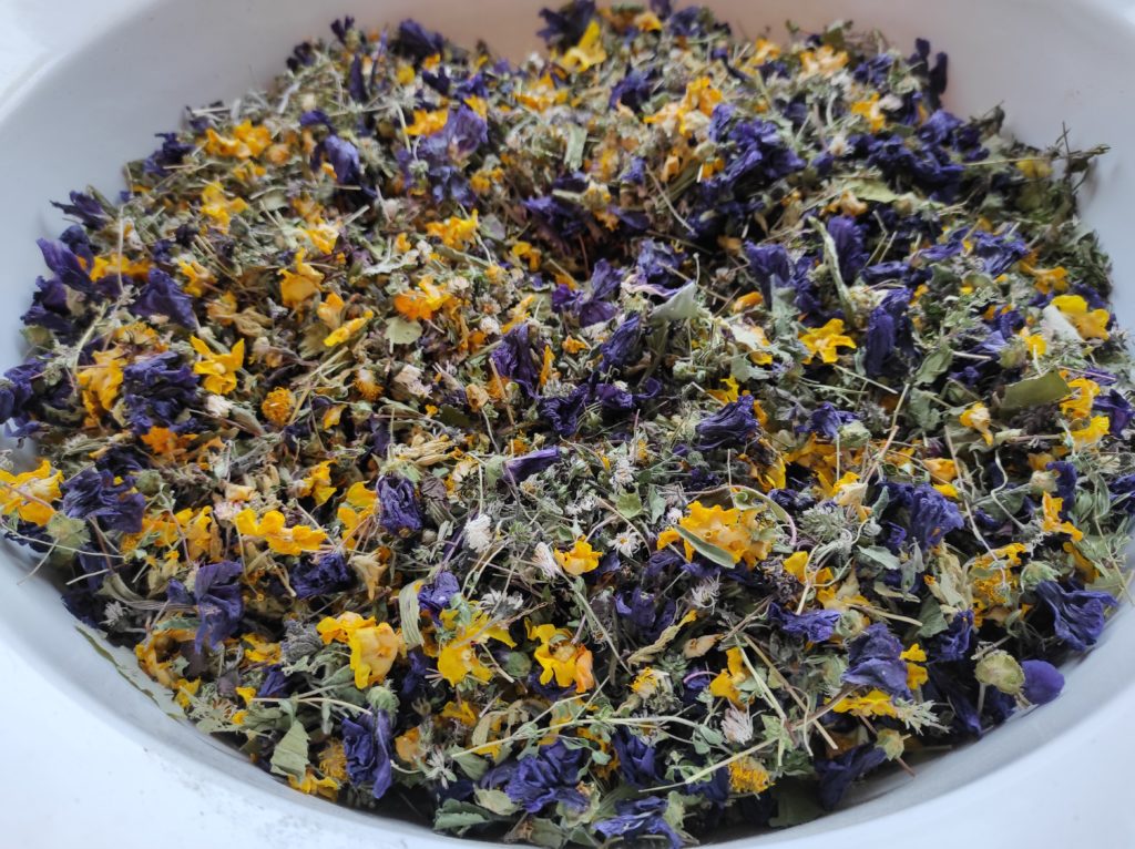 Účinný bylinkový čaj na kašel a průdušky (recept)