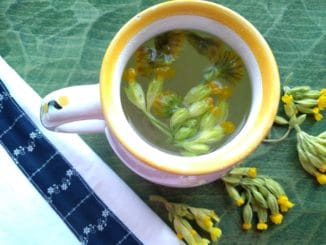 Voňavý bylinkový čaj z podbělu uvolňuje hleny při kašli (recept)